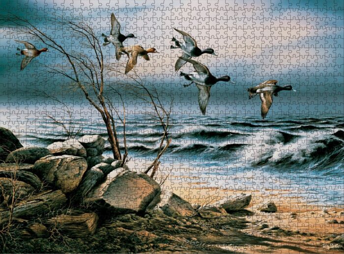 Bluebill Point – Puzzle 1000 piece